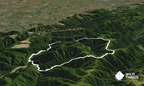 Burn Hut Loop