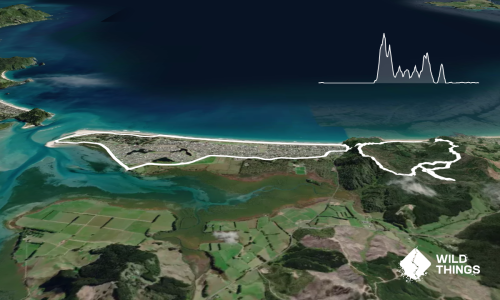 Matarangi & Rings Beach Loops
