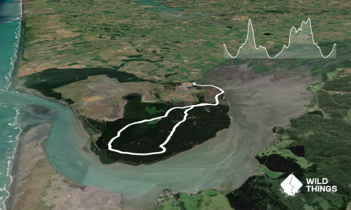 Waiuku Forest Intro