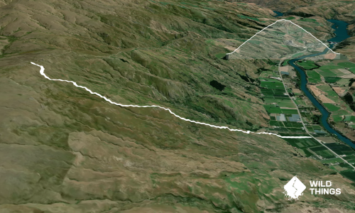 Bullock Track 