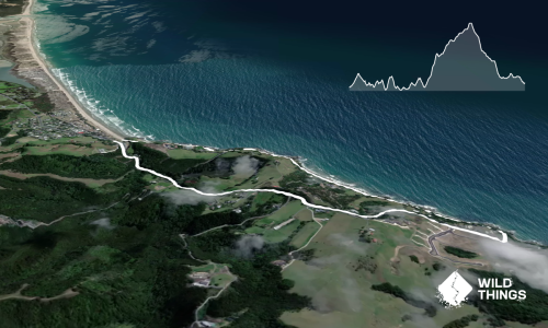 Waipu Coastal Trail loop