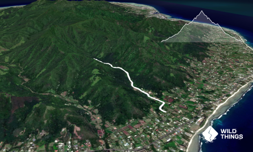 Turangi Valley