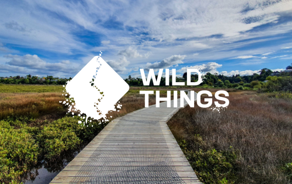 NEW CHALLENGE: Mild Things Urban Challenge