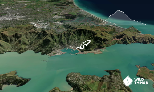 Urumau Undulations