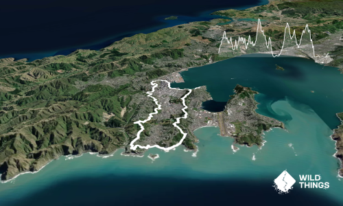 Wellington City to Sea & Southern Walkway Loop