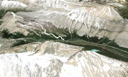 Wilcox Pass