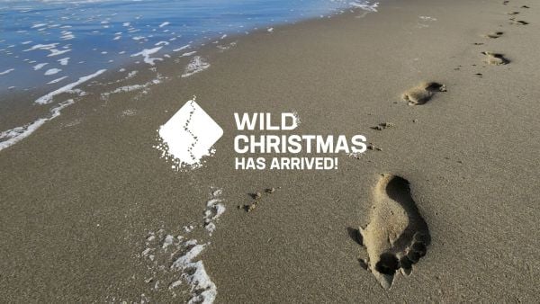 Wild Christmas has arrived! 🎁
