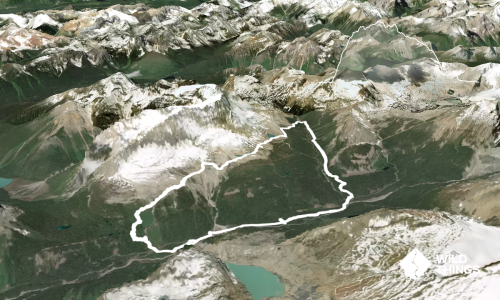 Yoho Iceline Trail