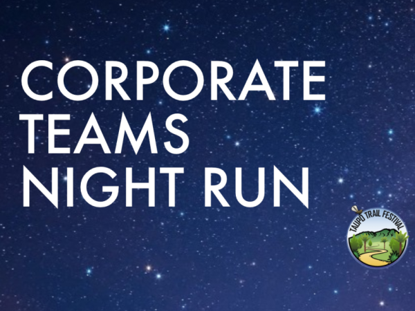 Corporate Teams Night Run