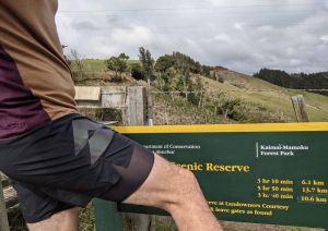 Why are the T8 Undies and Sherpa shorts so popular?