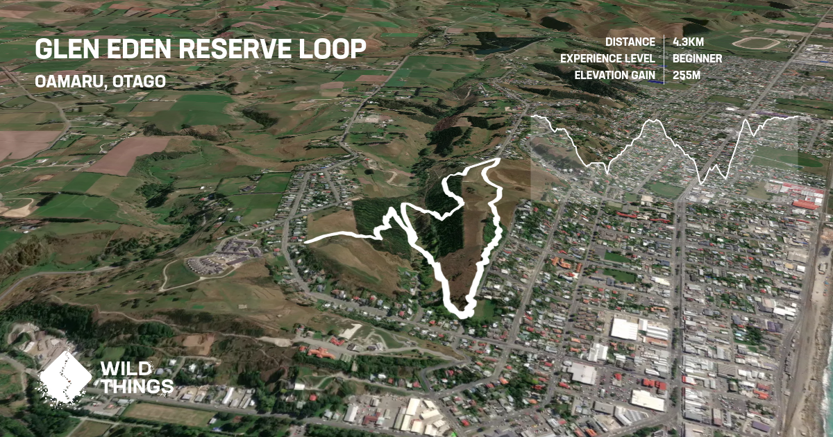 Glen Eden Reserve Loop, Otago, New Zealand - Trail Running Directory