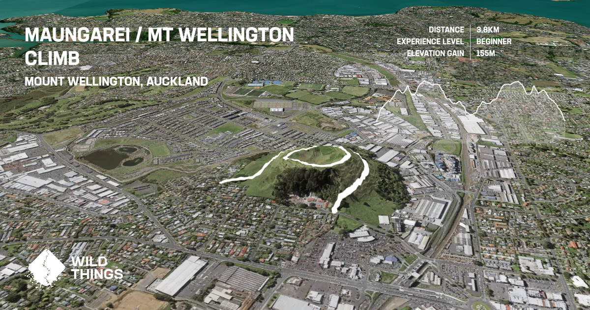 Maungarei / Mt Wellington Climb, Auckland, New Zealand Trail Running