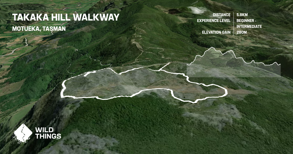 Takaka Hill Walkway, Tasman, New Zealand Trail Running Directory