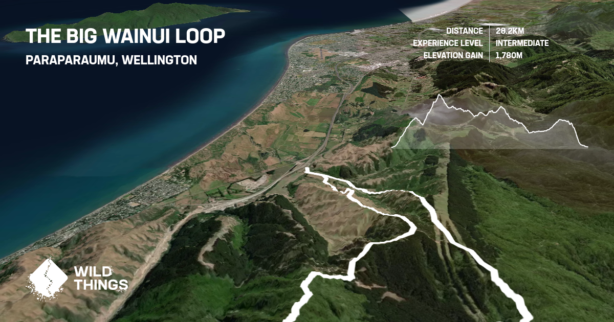 wainui trail project