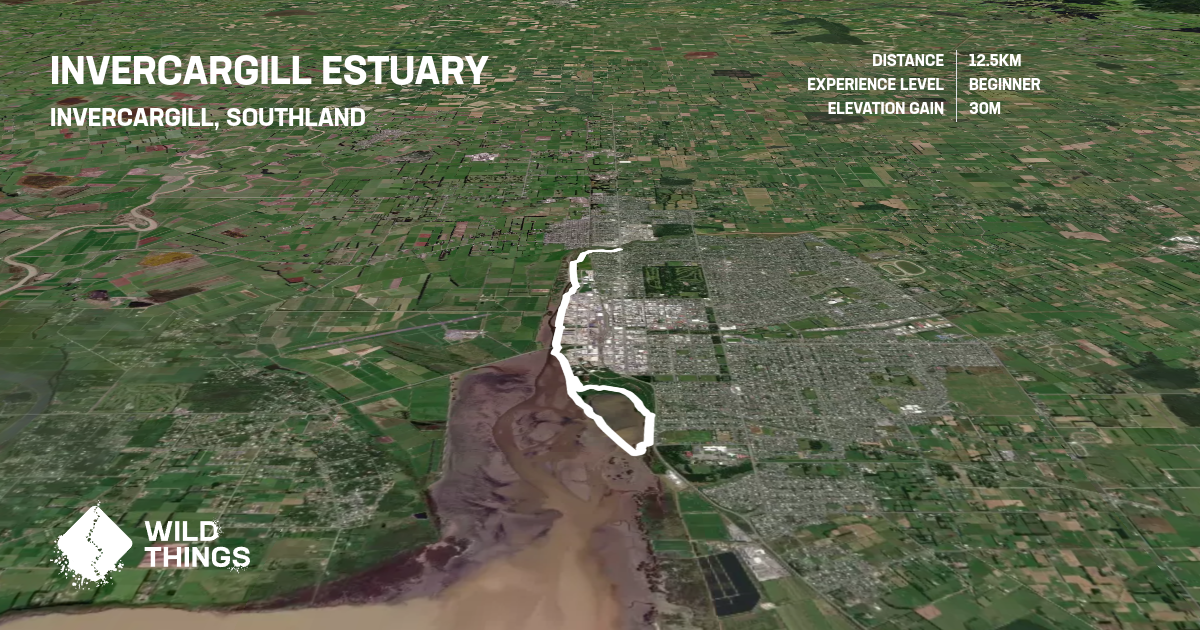 Invercargill Estuary, Southland, New Zealand Trail Running Directory Wild Things