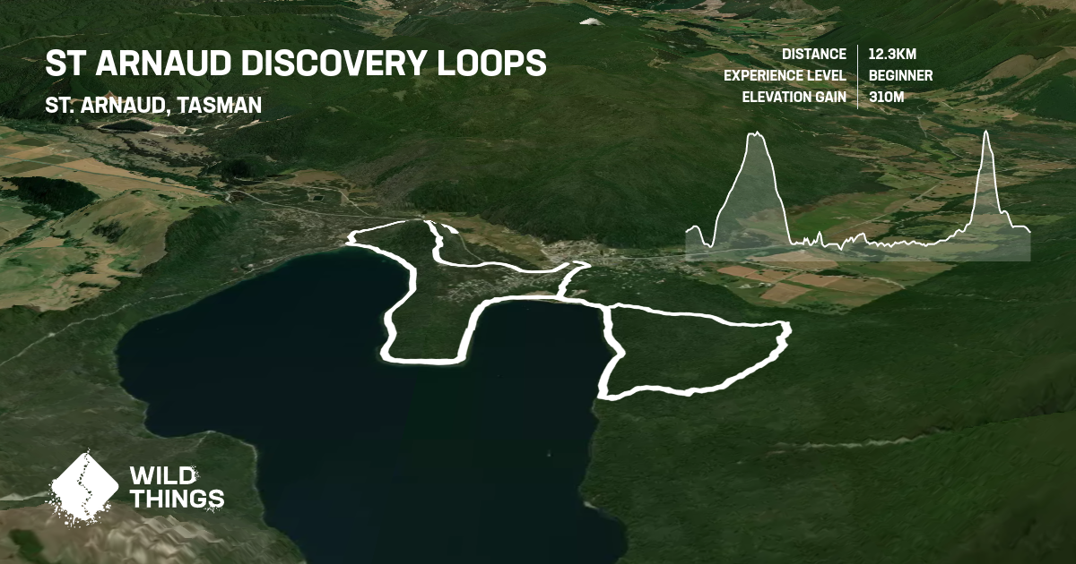 Discovery Loop St Arnaud Discovery Loops, Tasman, New Zealand - Trail Running ...