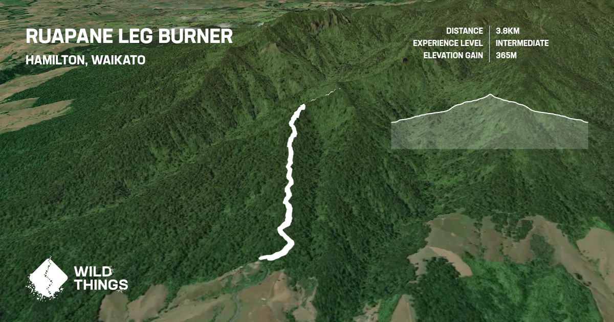 Ruapane Leg Burner, Waikato, New Zealand - Trail Running Directory ...